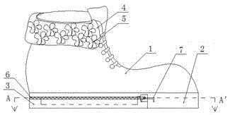 Storage shoe