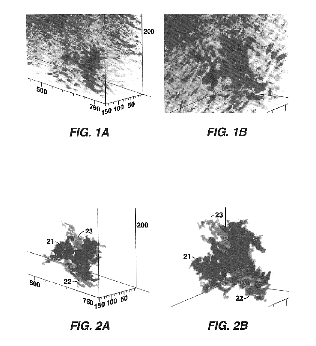 Method for estimation of size and analysis of connectivity of bodies in 2- and 3-dimensional data