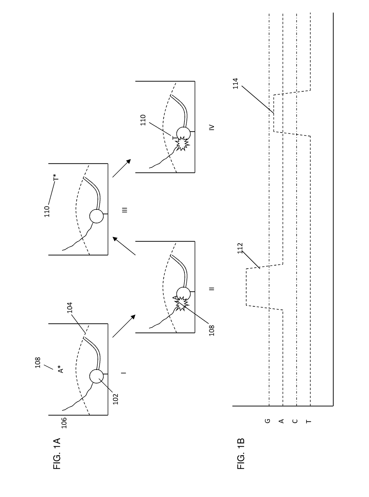 Modified nucleotide reagents