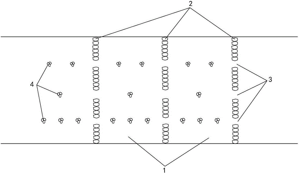 Ecological fish way with multi-flow-speed channels