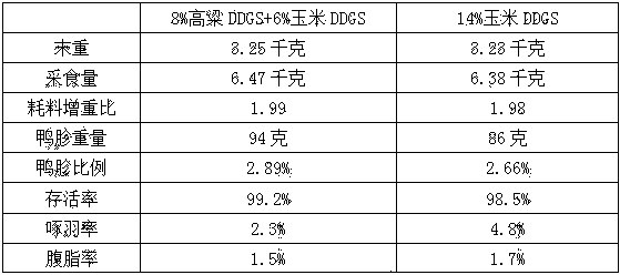 Meat duck fodder containing sorghum bicolor DDGS