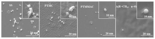 Modified polycarbonate with high anticoagulant activity