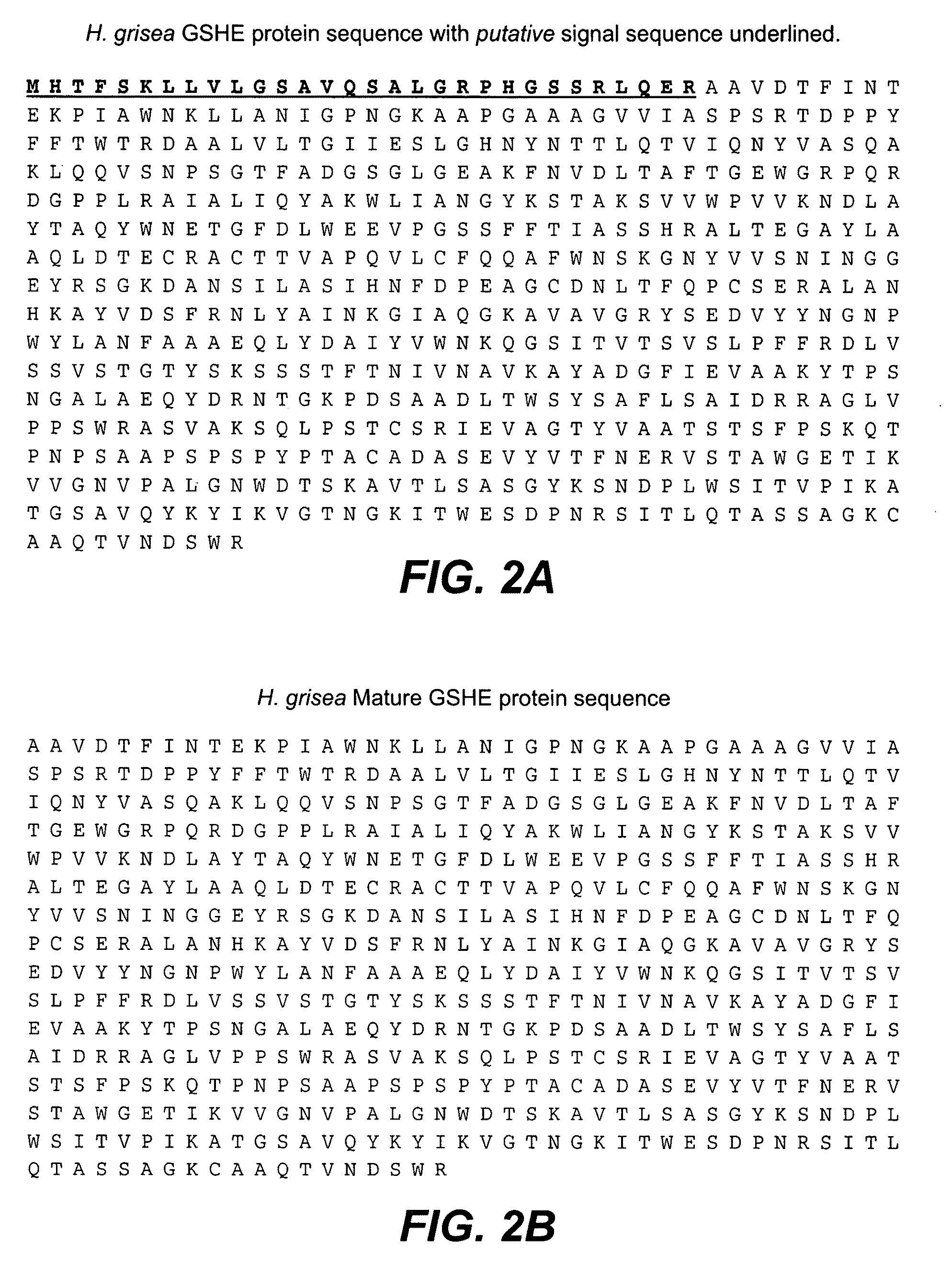 Expression of Granular Starch Hydrolyzing Enzymes in Trichoderma and process for producing glucose from granular starch substrates