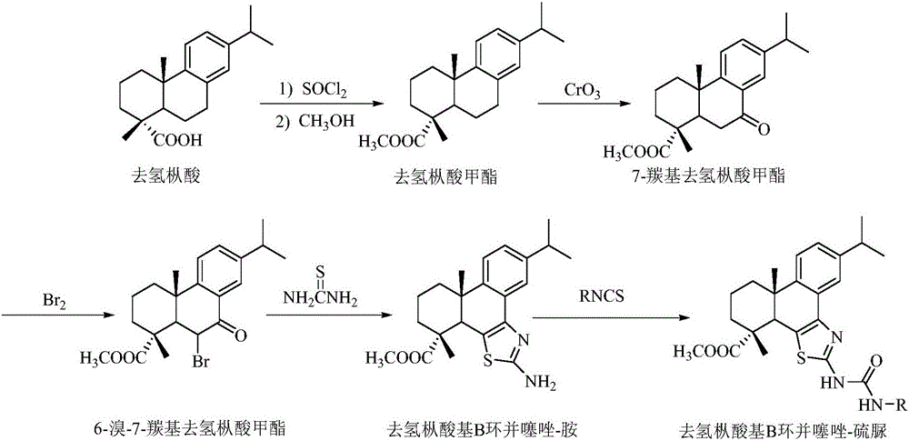 Synthesis method of dehydroabietic-acid-based B ring-fused-thiazole-thiocarbamide compounds
