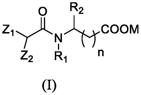 Isopalmitoyl amino acid compound as well as preparation method and application thereof