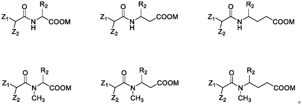 Isopalmitoyl amino acid compound as well as preparation method and application thereof