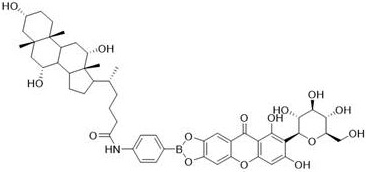 A kind of mangiferin cholic acid derivative and its preparation method and application