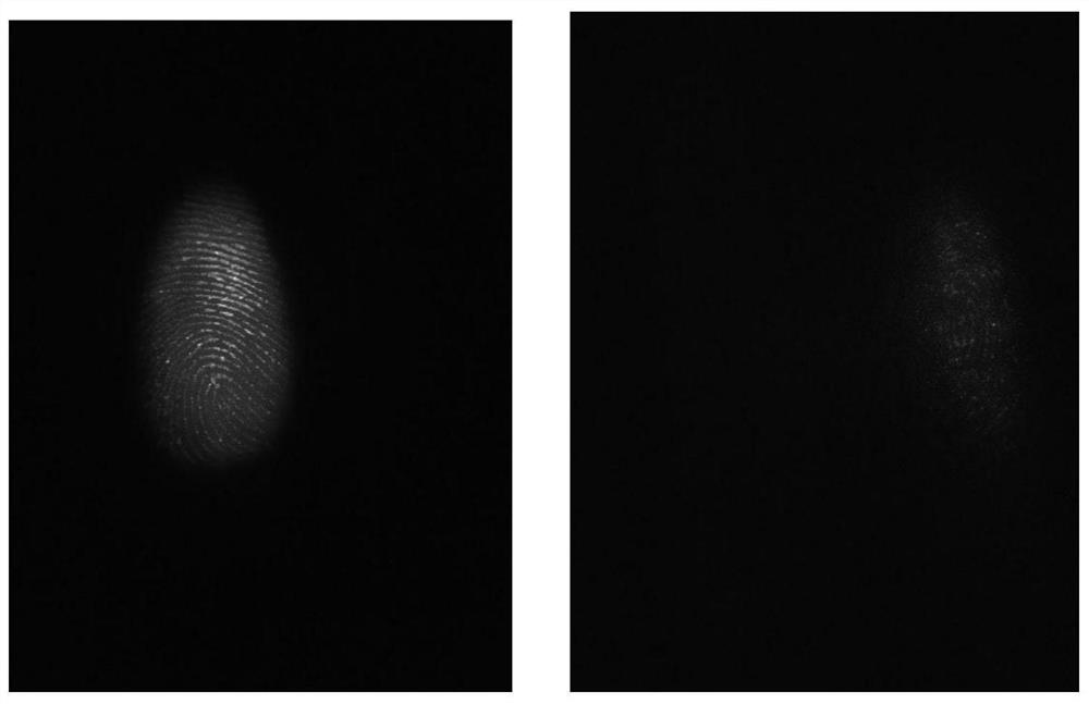 A Latent Fingerprint Visualization and Chemical Residue Detection Method Based on Upconversion Nanoparticles