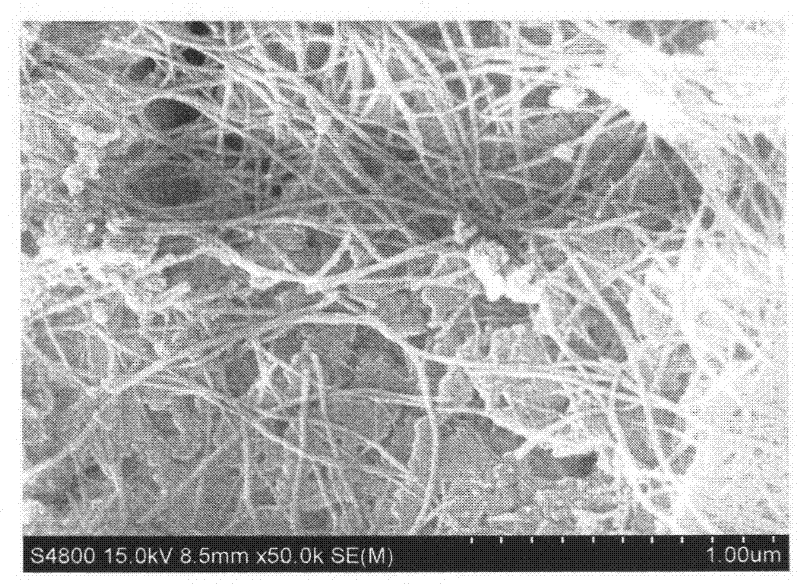 Hydrothermal synthesis method for nanowire/stick-like morphology manganese lithium silicate