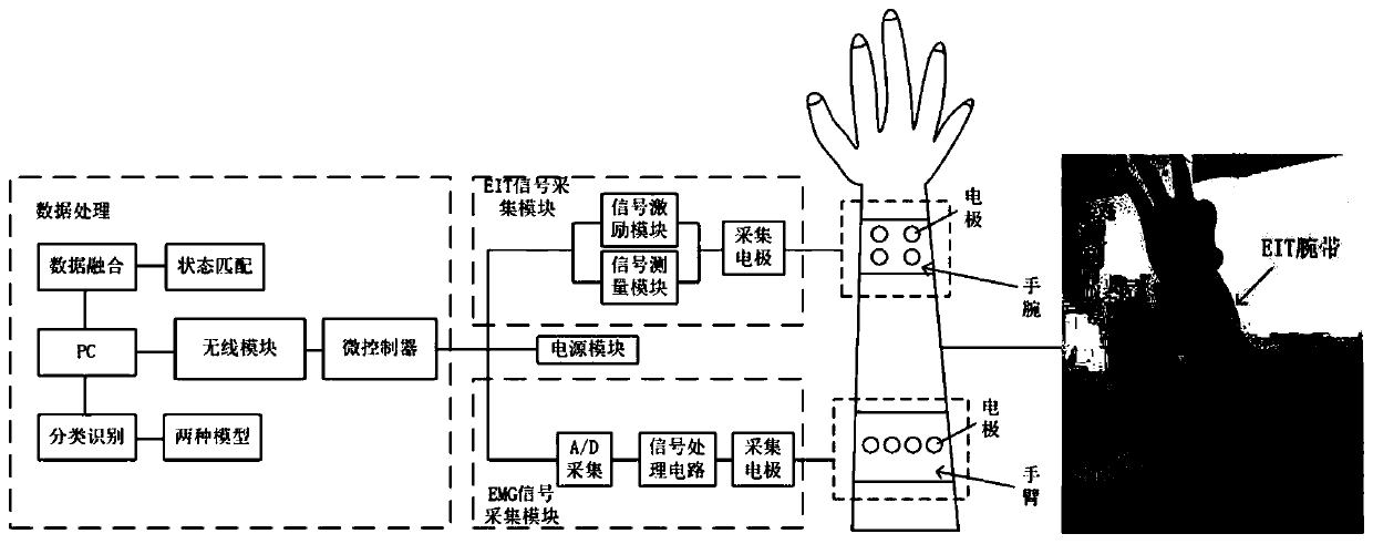 Gesture recognition system fusing bioelectrical impedance information and myoelectricity information