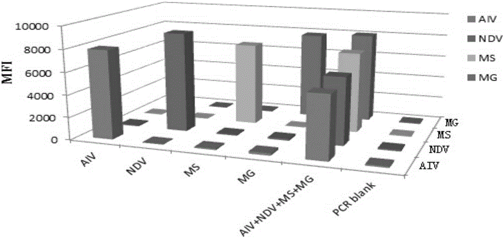 Multiple fluorescent immunoassay method and reagent for quick distinguishing of AIV (avian influenza virus), NDV (Newcastle disease virus), MG (Mycoplasma gallisepticum) and MS (Mycoplasma synoviae)