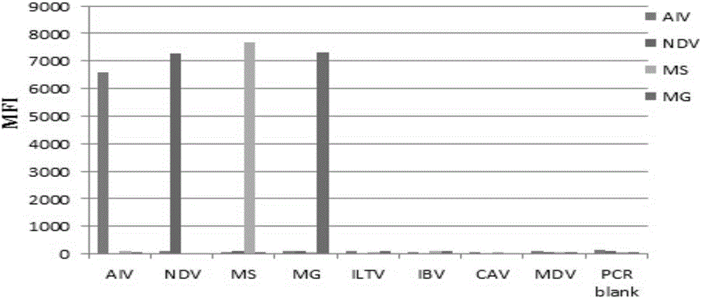 Multiple fluorescent immunoassay method and reagent for quick distinguishing of AIV (avian influenza virus), NDV (Newcastle disease virus), MG (Mycoplasma gallisepticum) and MS (Mycoplasma synoviae)