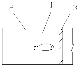 Device and method making use of fish phototaxis to improve fish passing effects of fishways