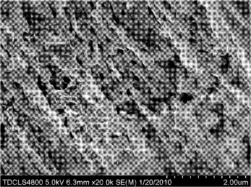 Biological porous bone cement prepared by compositing Sr-doped calcium-phosphorus bioglass and alpha-tricalcium phosphate and preparation method thereof