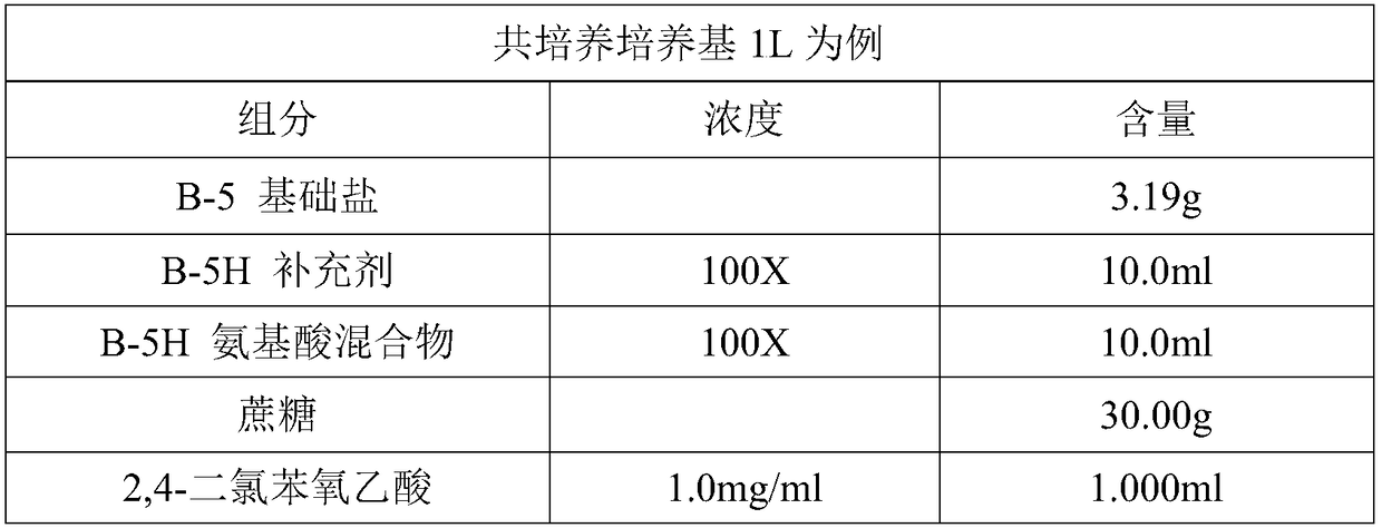 A kind of efficient and stable broad-spectrum alfalfa genetic transformation method