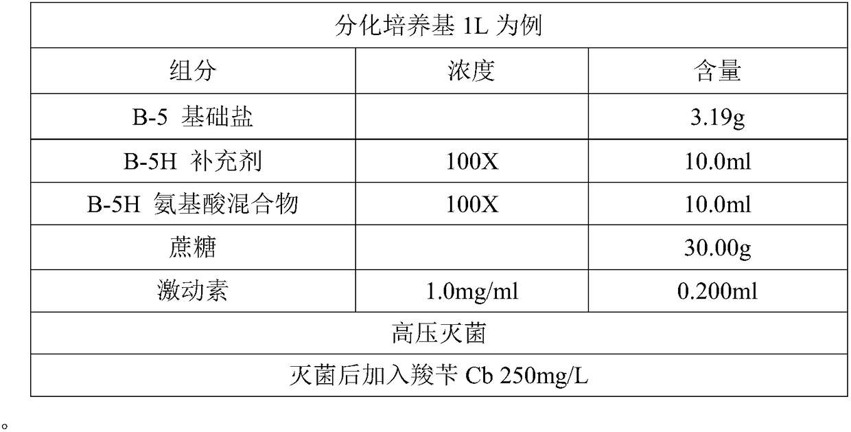 A kind of efficient and stable broad-spectrum alfalfa genetic transformation method