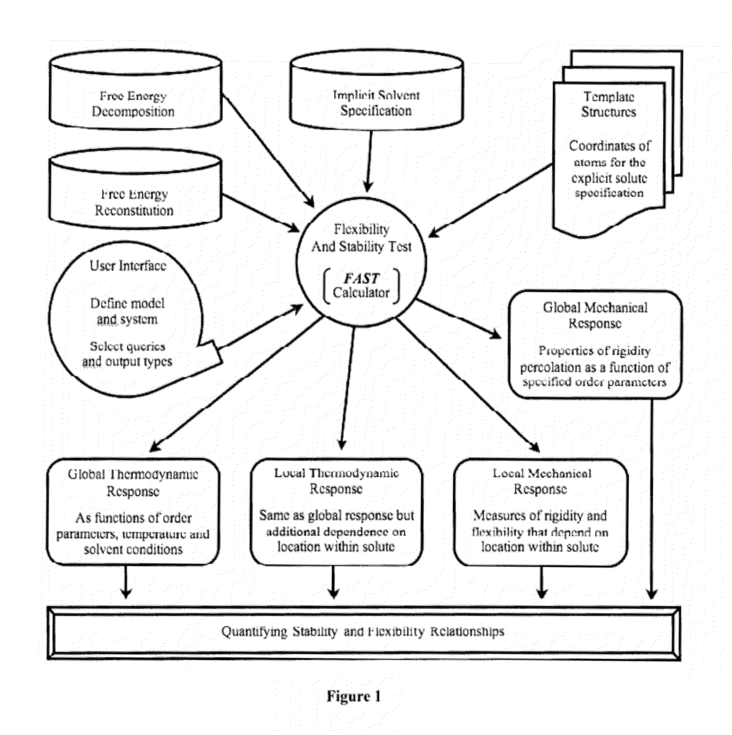 Computer implemented system for quantifying stability and flexibility relationships in macromolecules