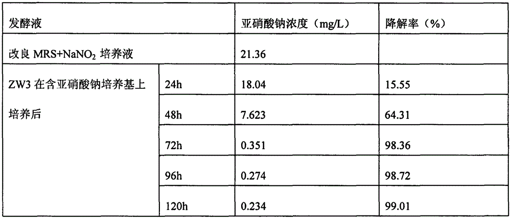 Koumiss sample lactobacillus ZW3 with efficient nitrite degrading function and application of koumiss sample lactobacillus ZW3