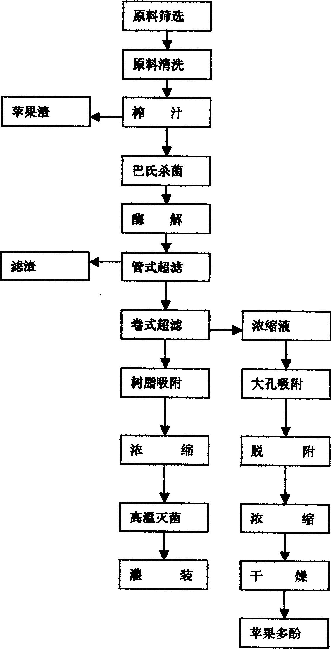 Process for separating protein, apple polyphenol, apple starch and pigment from apple juice