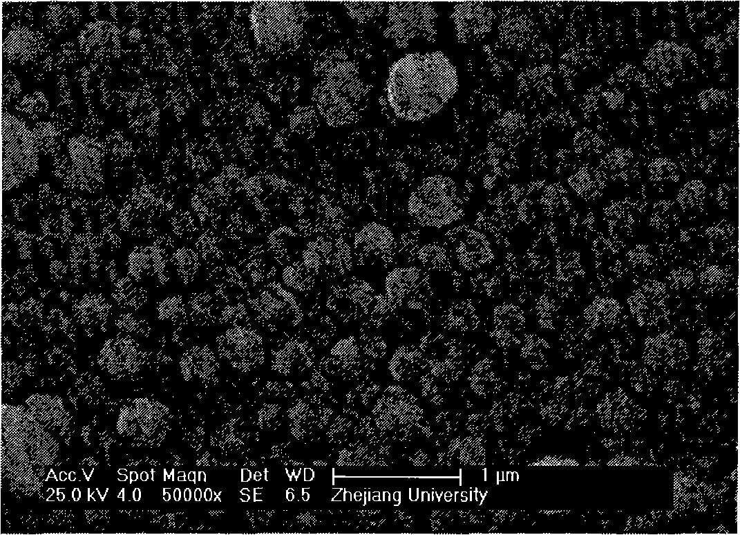 Method for preparing strontium fluoride or rare-earth doped strontium fluoride film by adopting electrolytic deposition