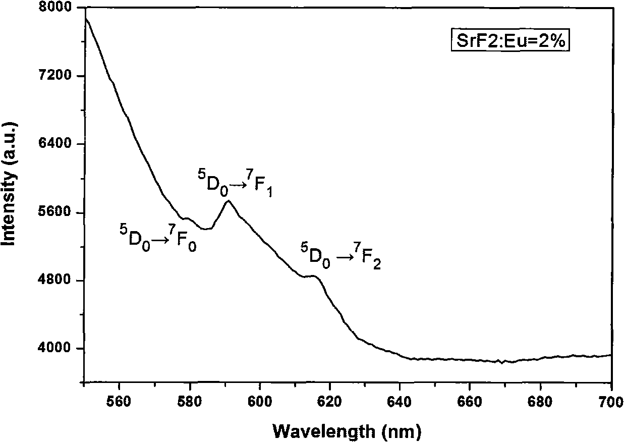 Method for preparing strontium fluoride or rare-earth doped strontium fluoride film by adopting electrolytic deposition