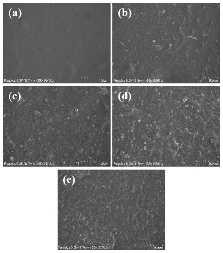 Food preservative film based on titanium-based composite material as well as preparation method and application of food preservative film