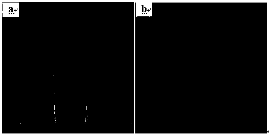 Method for preparing high-activity gold/zinc oxide composite nanocluster by room temperature one-pot method