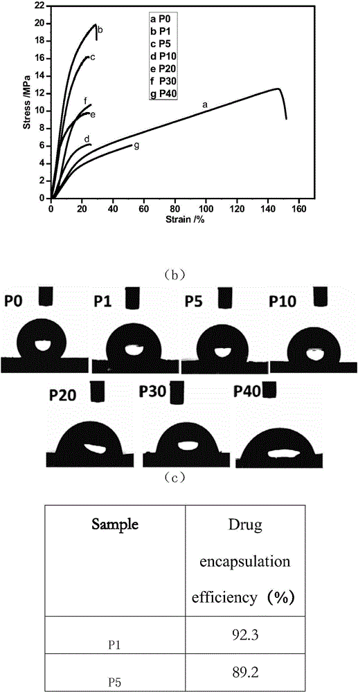 Drug-loading type guided tissue regeneration membrane and preparation method thereof