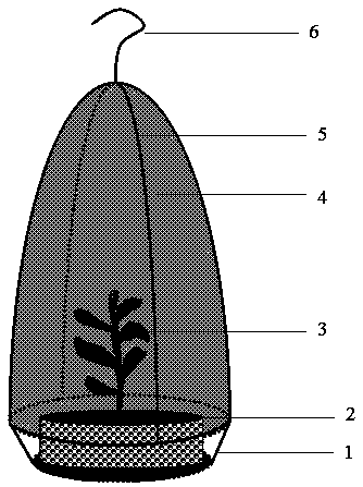 All-closed cultivation method for dendrobe