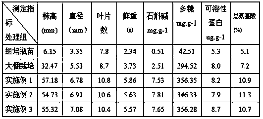 All-closed cultivation method for dendrobe