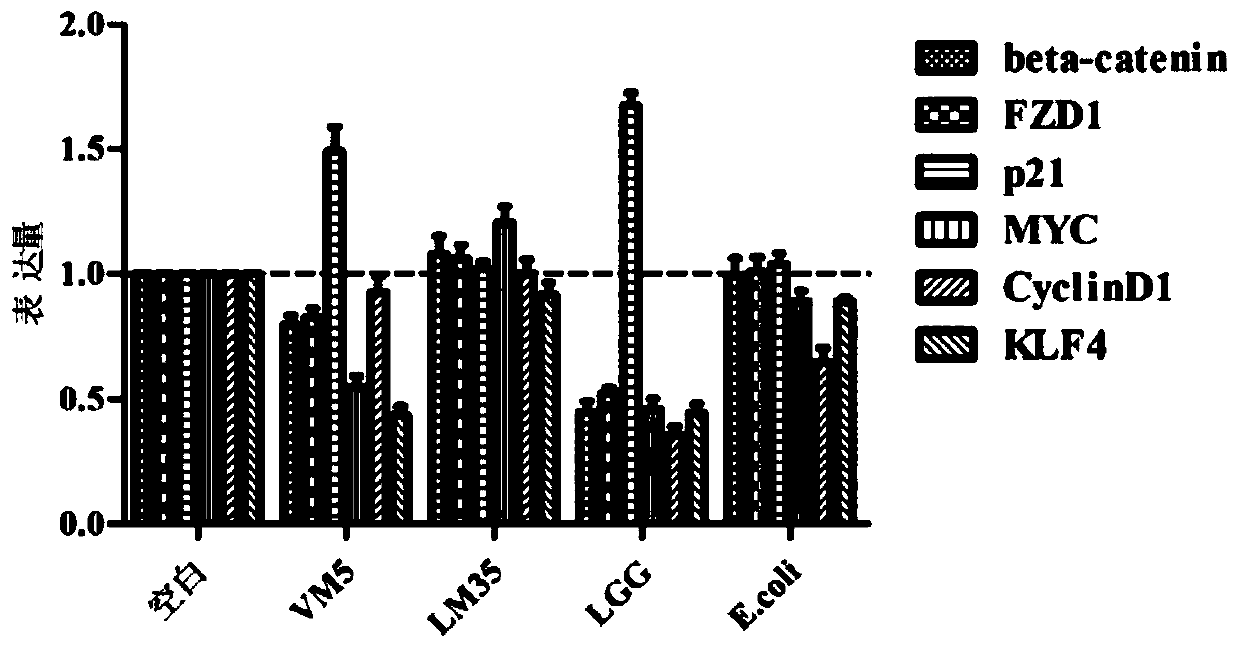 A kind of Lactococcus lactis lactic acid subspecies capable of regulating colon tumor signaling pathway and its use