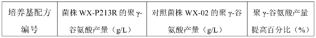 Dihydrolipoic acid dehydrogenase mutant P213R and application thereof in synthesis of poly-gamma-glutamic acid of bacillus licheniformis