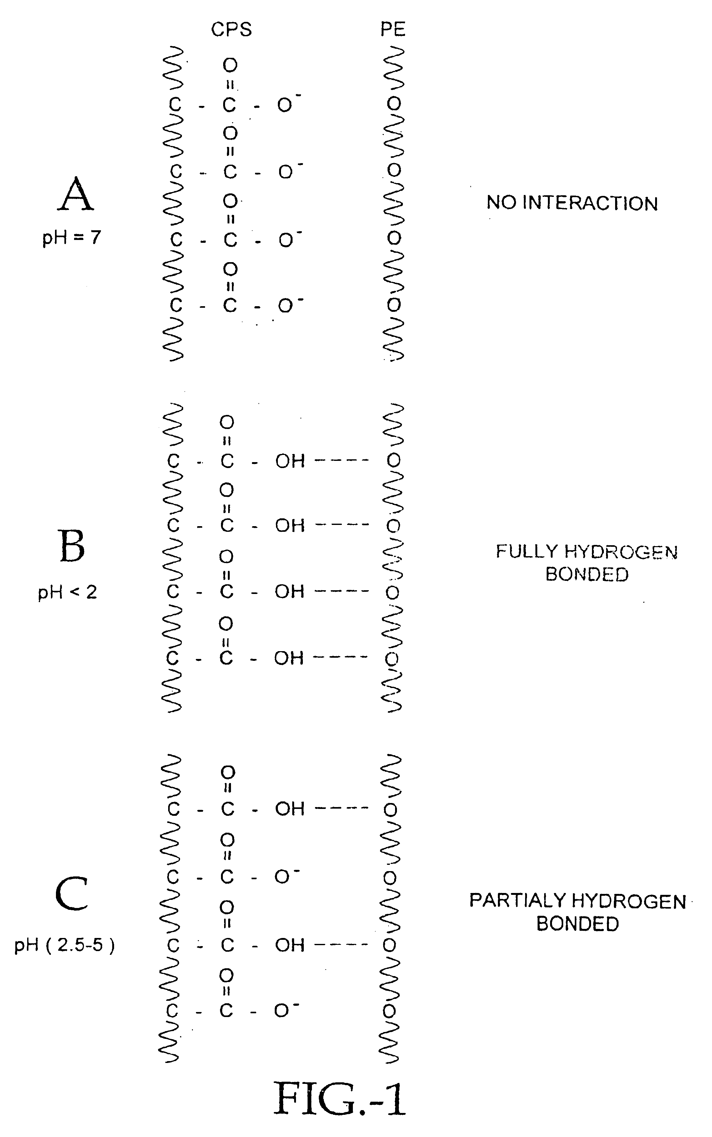 Compositions of polyacids and polyethers and methods for their use in reducing adhesions
