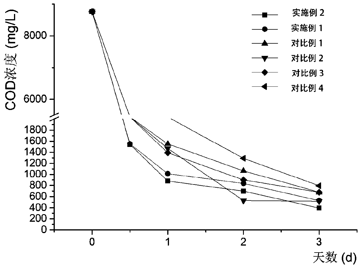 Compound bacterial agent and method for treating feces sewage of pig farm