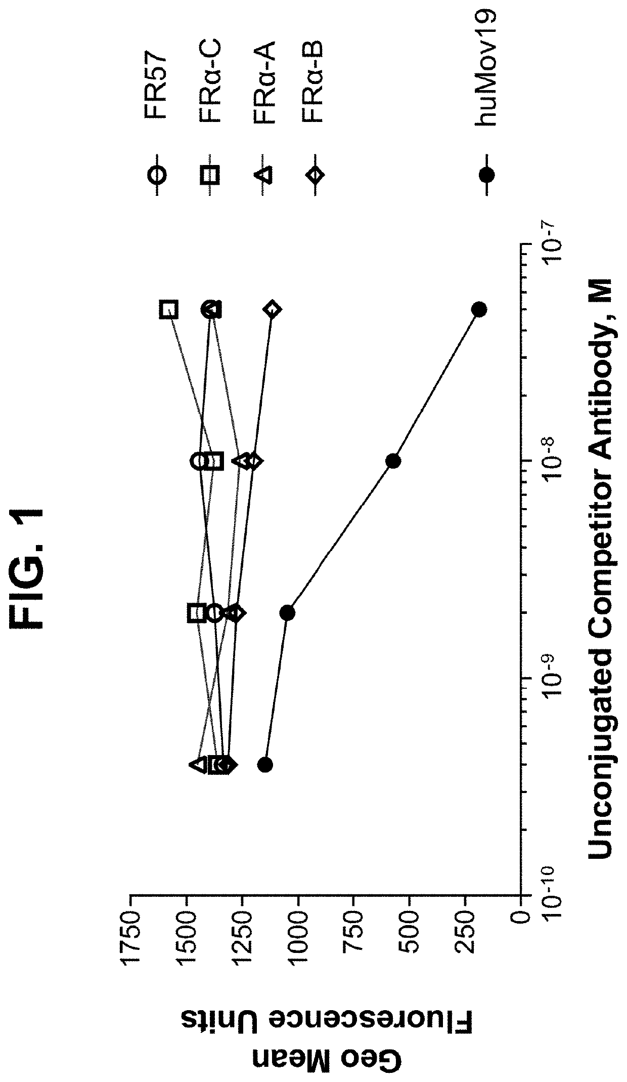 Biparatopic fr-alpha antibodies and immunoconjugates