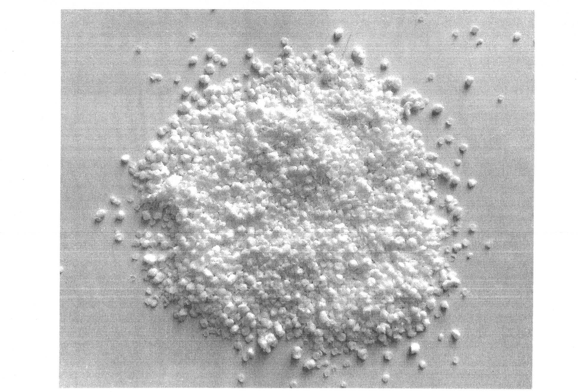 Preparation method of star-shaped SBS (styrene butadiene styrene block polymer)-modified asphalt and production method of waterproof coiled material