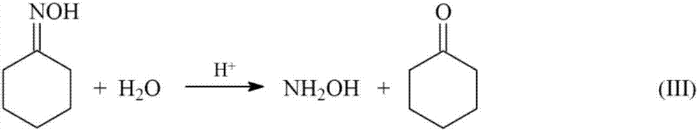 Method for generating hydroxylamine by cyclohexanone-oxime through hydrolyzing