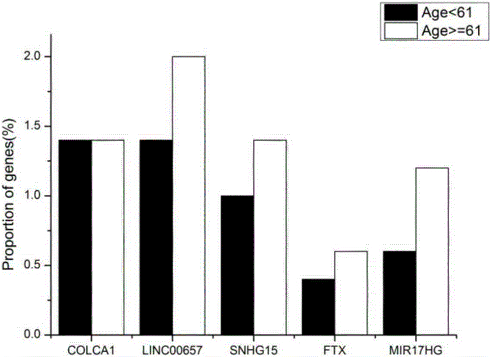 LncRNA and application thereof as prostatic cancer detection marker or prostatic cancer prognosis recurrence marker