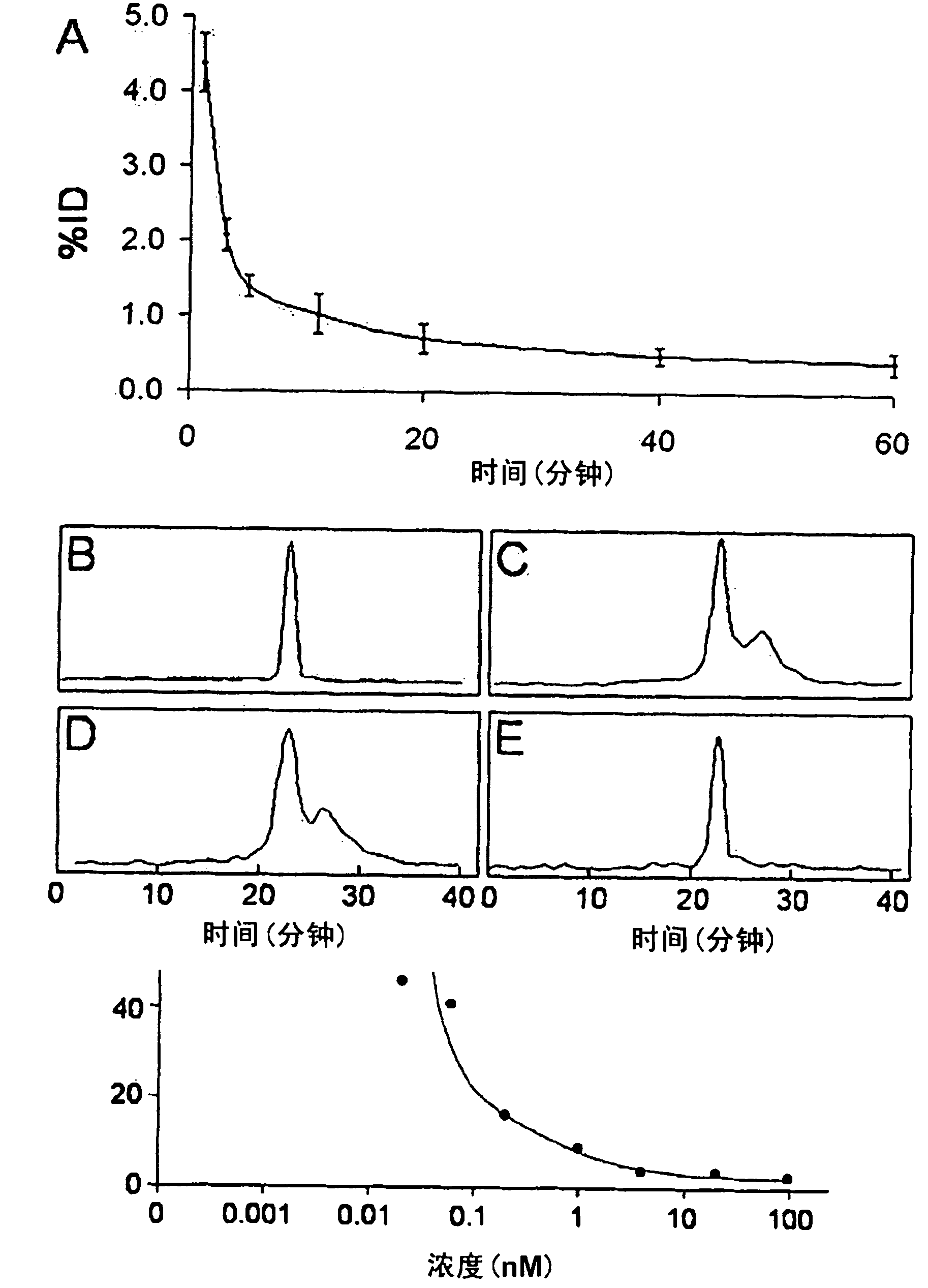 99mTc-labeled 19 amino acid containing peptide for use as phosphatidylethanolamine binding molecular probe and radiopharmaceutical
