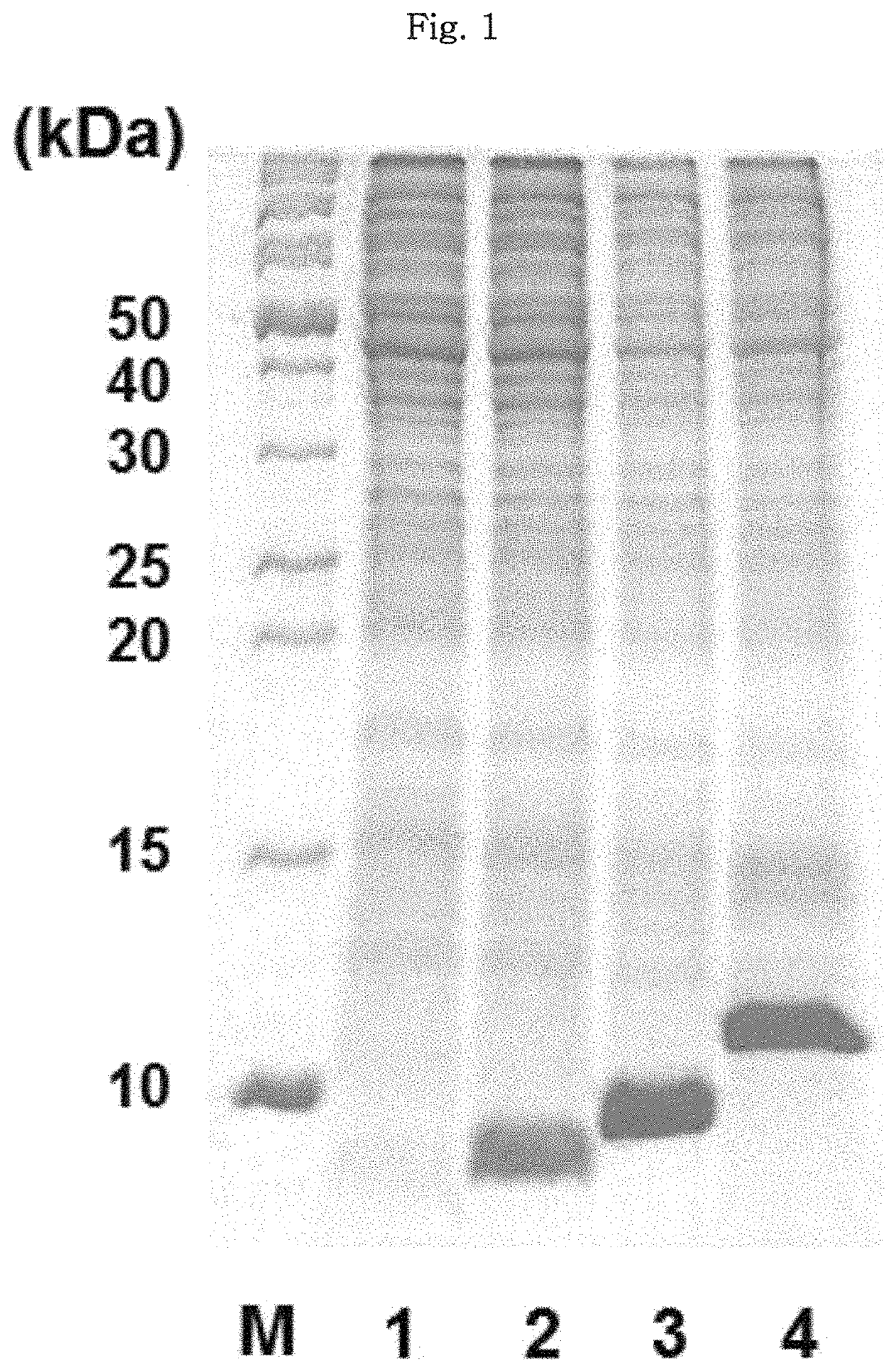 N-terminal fusion partner for producing recombinant polypeptide, and method for producing recombinant polypeptide using same