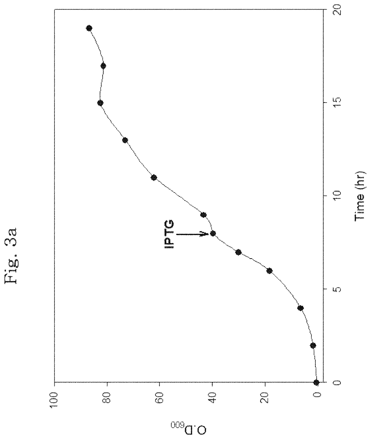 N-terminal fusion partner for producing recombinant polypeptide, and method for producing recombinant polypeptide using same