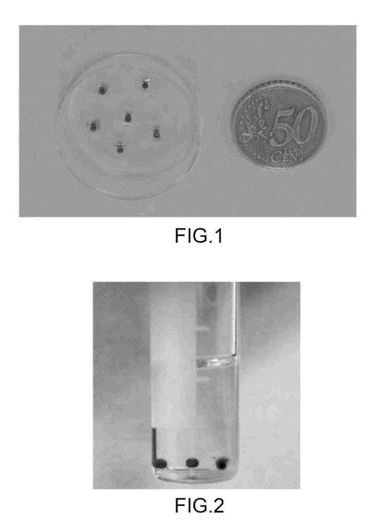 Fiducial marker for use in stereotactic radiosurgery and process of production