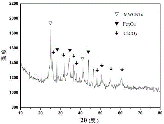 Ca-supported magnetic carbon nanotube composite material and preparation method and application thereof