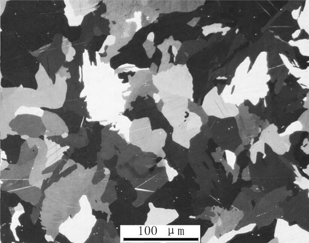 TA2 pure titanium color metallographic corrosion method convenient to identify