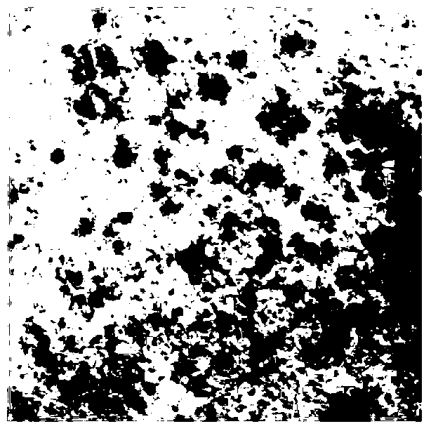 Cold water gel test paper sheet for rapid detection of Listeria monocytogenes in food and tableware and its preparation method and application