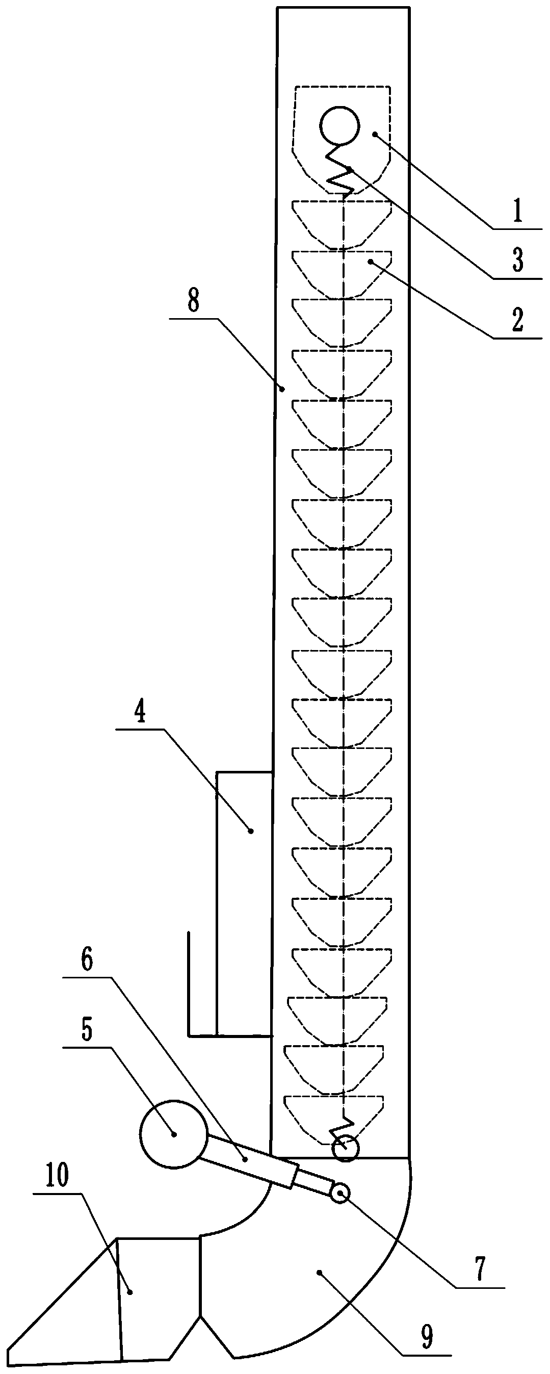 Garlic conveying device and sowing machine