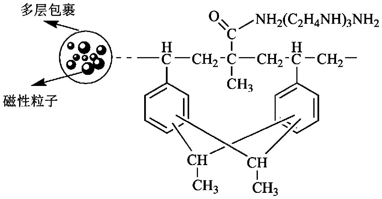 A magnetic chelating resin, its preparation method and its application in the purification of complex polluted water