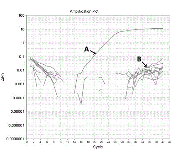 Rapid fluorescence PCR detection kit for Chlamydia trachomatis