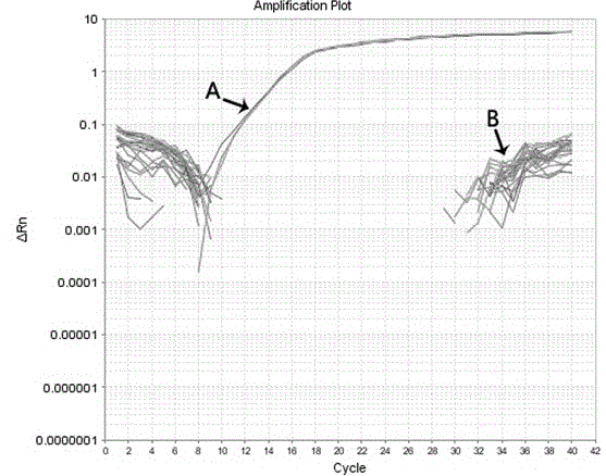 Rapid fluorescence PCR detection kit for Chlamydia trachomatis