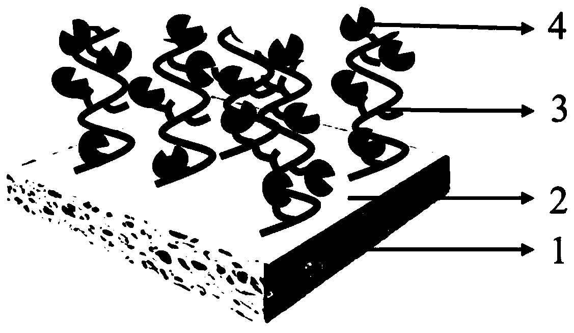 Catalytic membrane, preparation method and application thereof